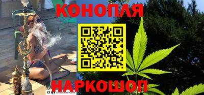 СК Гатчина