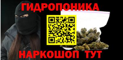 прущие грибы Апшеронск