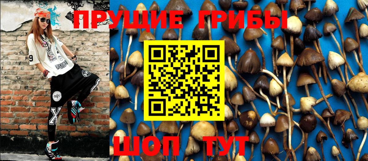 Галлюциногенные грибы прущие грибы Владивосток