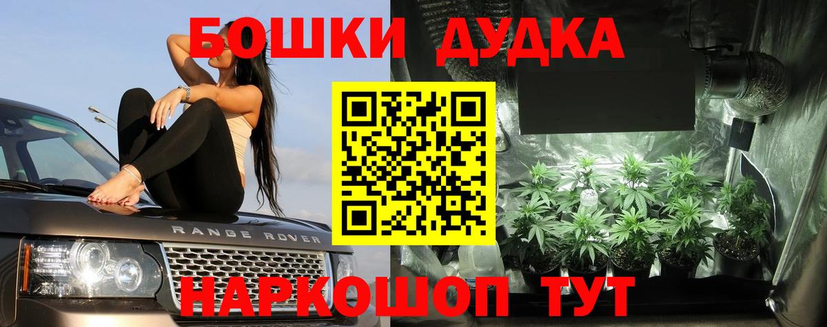 Шишки марихуана марихуана  Вход с VPN  Канабис Amnesia  Владивосток 